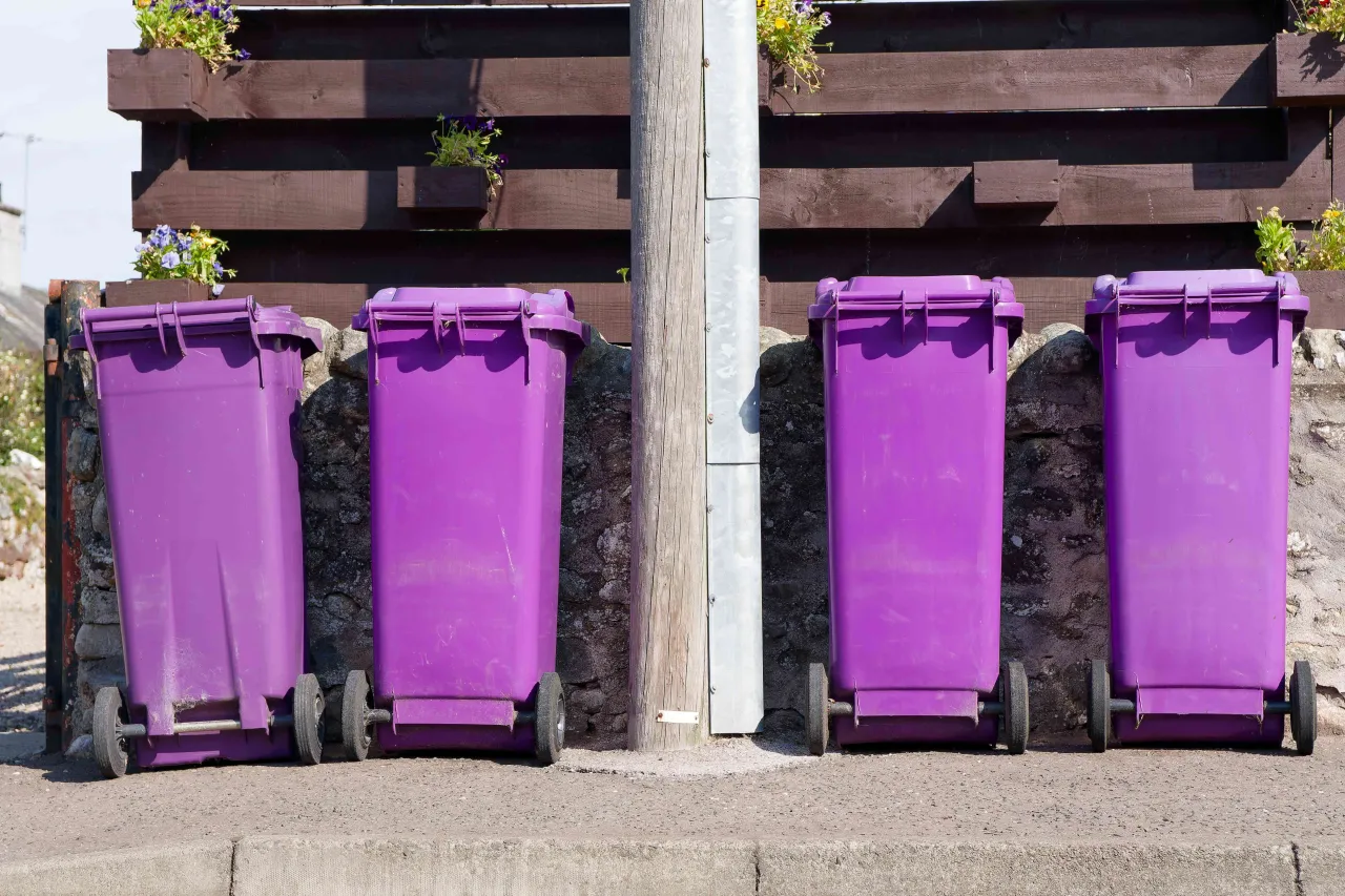 Cztery fioletowe kosze na śmieci stoją obok siebie. Dowiedz się, jak segregować śmieci, aby chronić środowisko.
