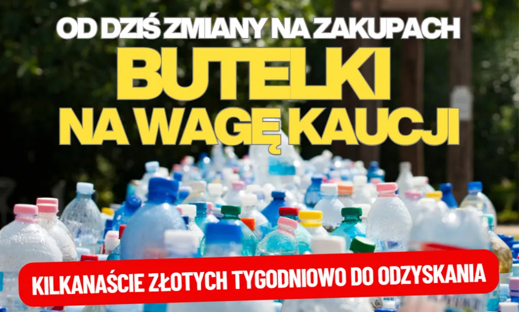 Zdjęcie Gdzie oddać butelki po piwie? Sprawdź, jak uniknąć strat finansowych
