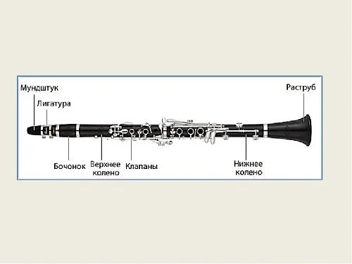 Budowa klarnetu schemat z opisem części