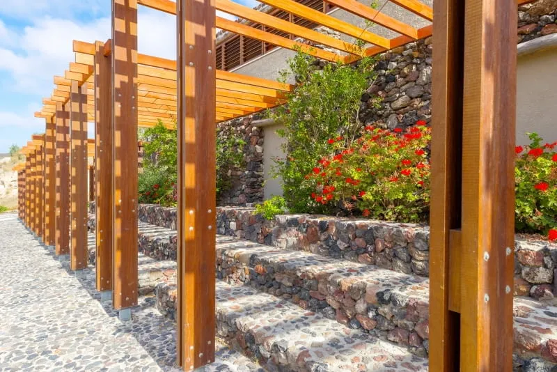 różne rodzaje drewna na pergolę