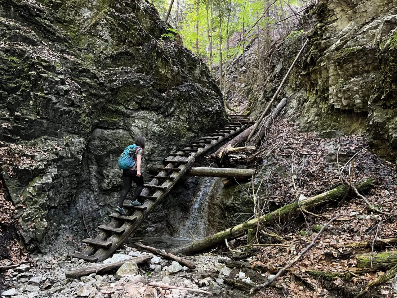 Słowacki Raj wąwozy i drabinki