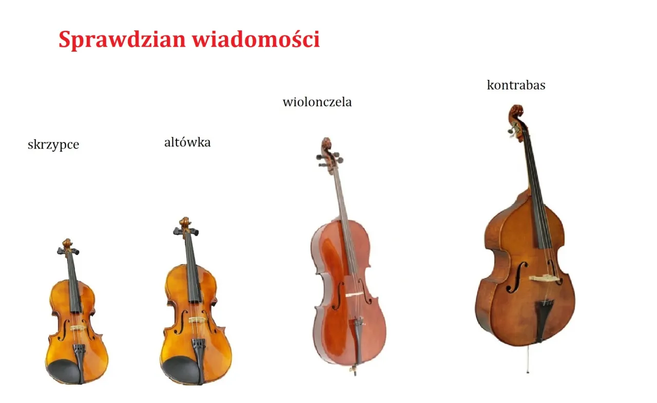 wiolonczela kontrabas por&oacute;wnanie