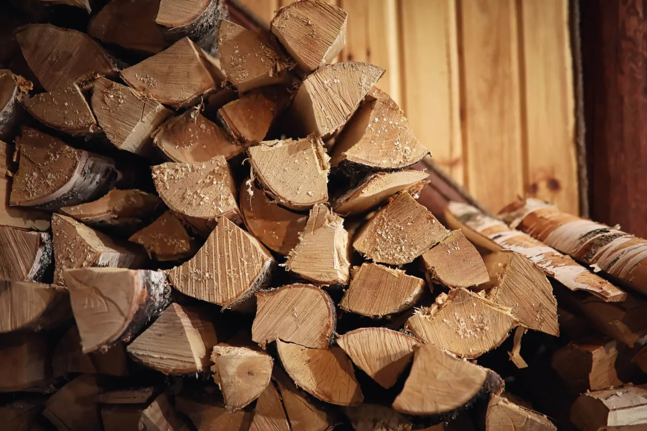 Ceny drewna na ognisko w Polsce 2026
