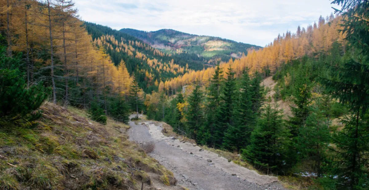 malownicza tatrzańska dolina dla turystów
