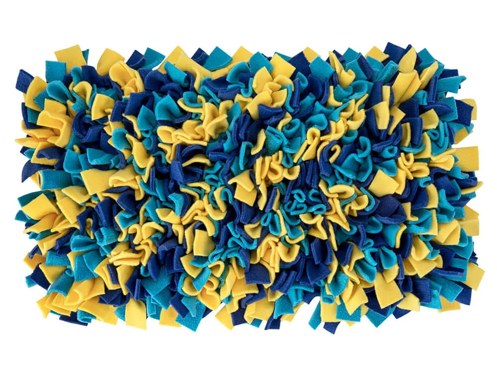 beagle mata węchowa