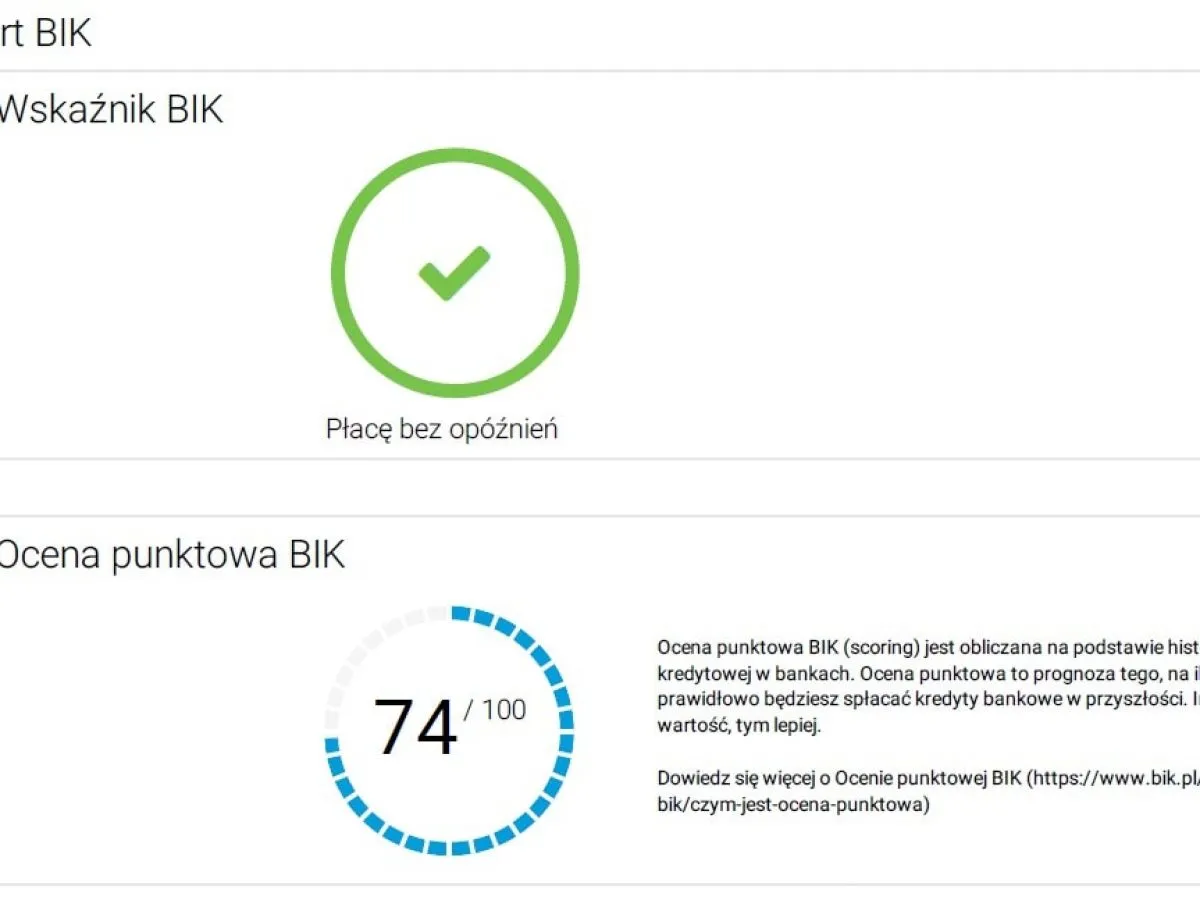 raport BIK sprawdzanie