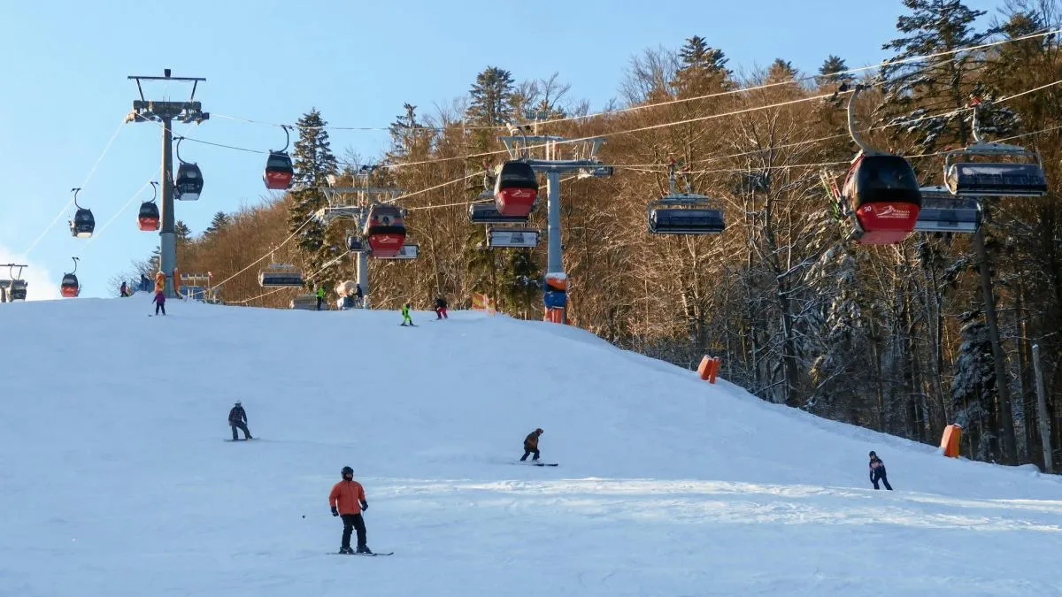 narciarze na stoku Jaworzyny Krynickiej zimą