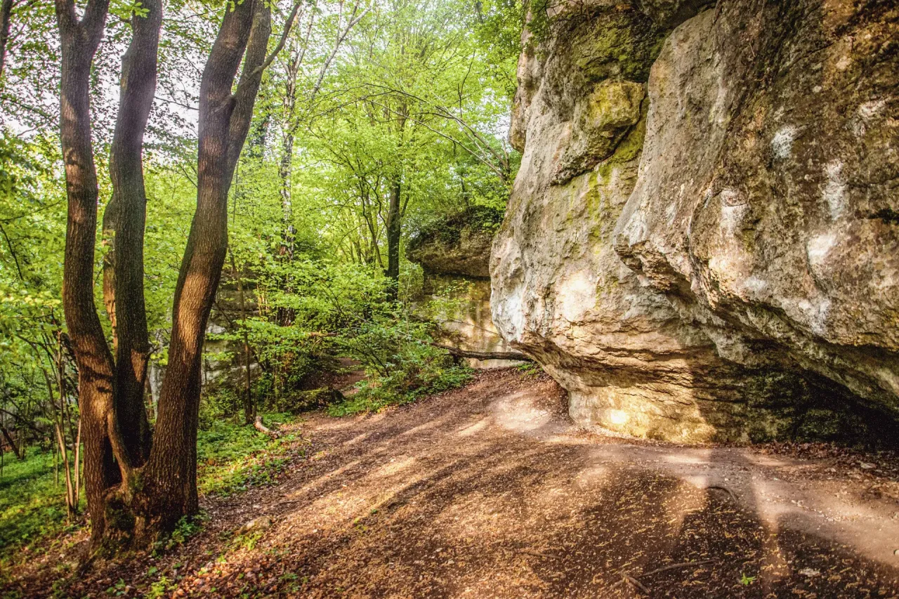 Ścieżka wśród drzew prowadzi do skalnych ostańców. Malownicze rezerwaty przyrody w Małopolsce zachwycają zielenią i formacjami skalnymi.