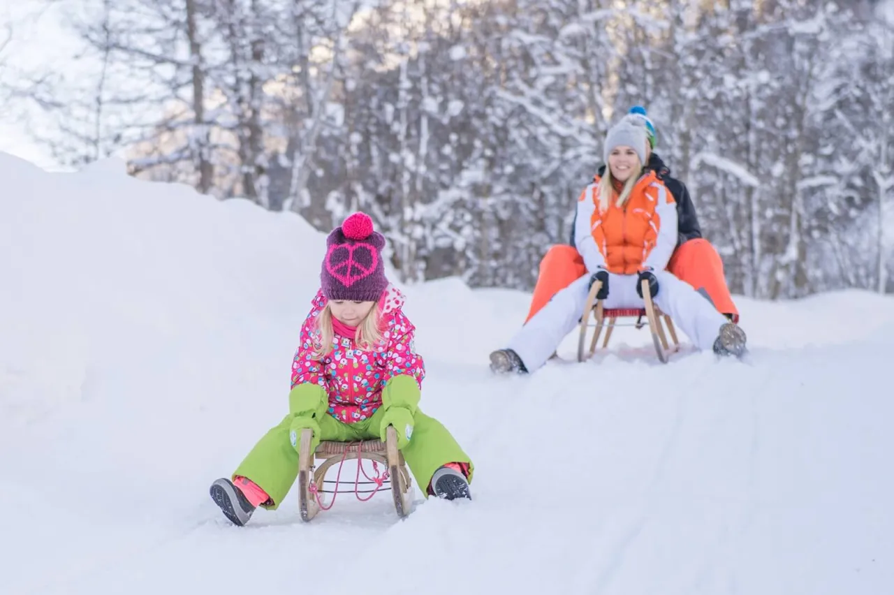 Rodzina na sankach w zimowym krajobrazie