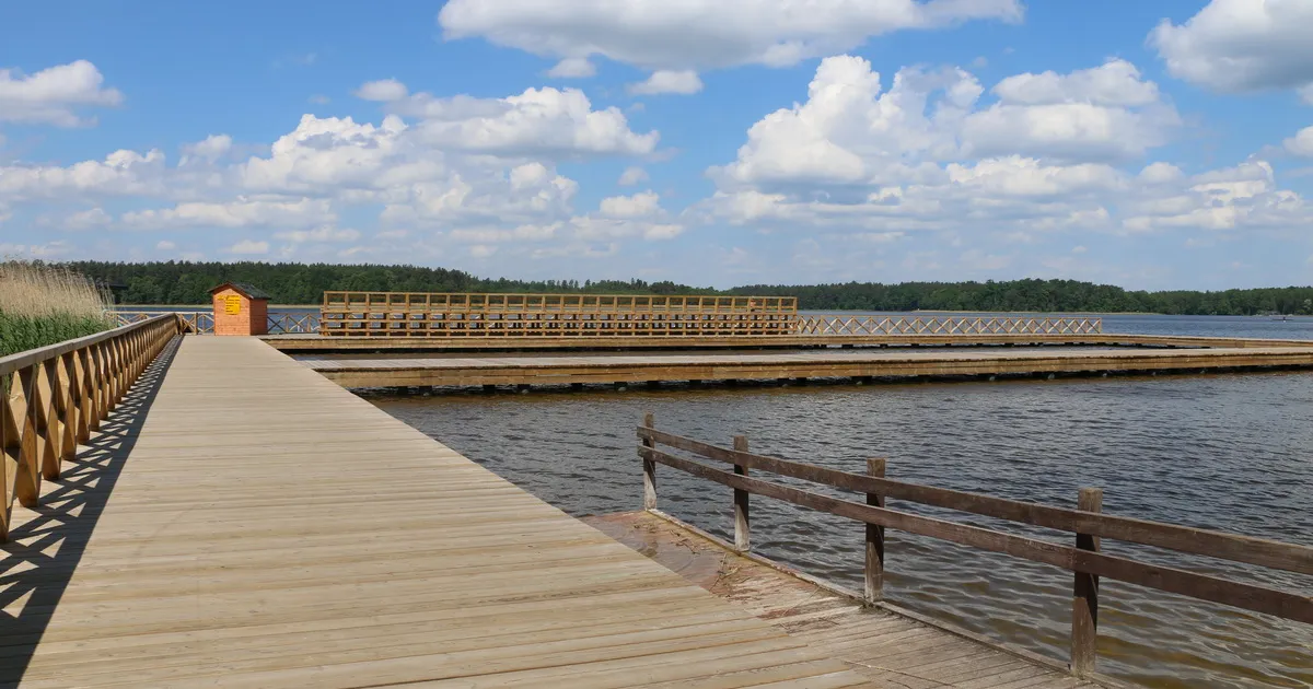 Jezioro Białe Augustowskie czysta woda plaża