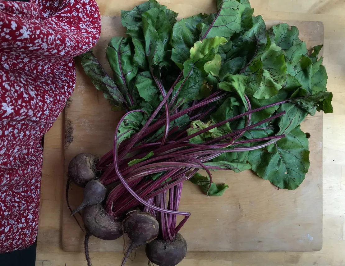 Spezie e barbabietola