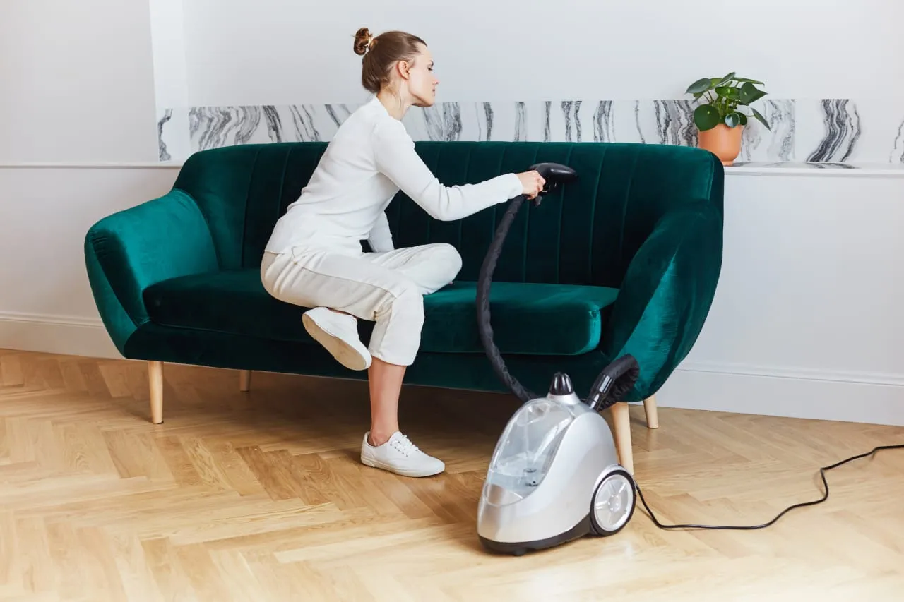 parametry parownicy do czyszczenia