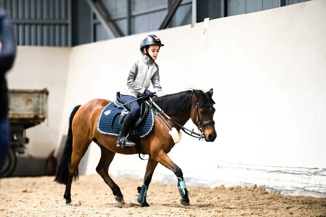 Cennik jazdy konnej Rzeszów