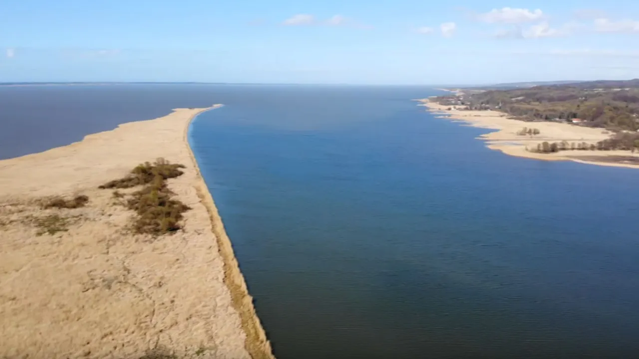 Rezerwat przyrody Zatoka Elbląska: rozległa, piaszczysta mierzeja otoczona wodą, z trzcinami i niewielkimi skupiskami drzew.