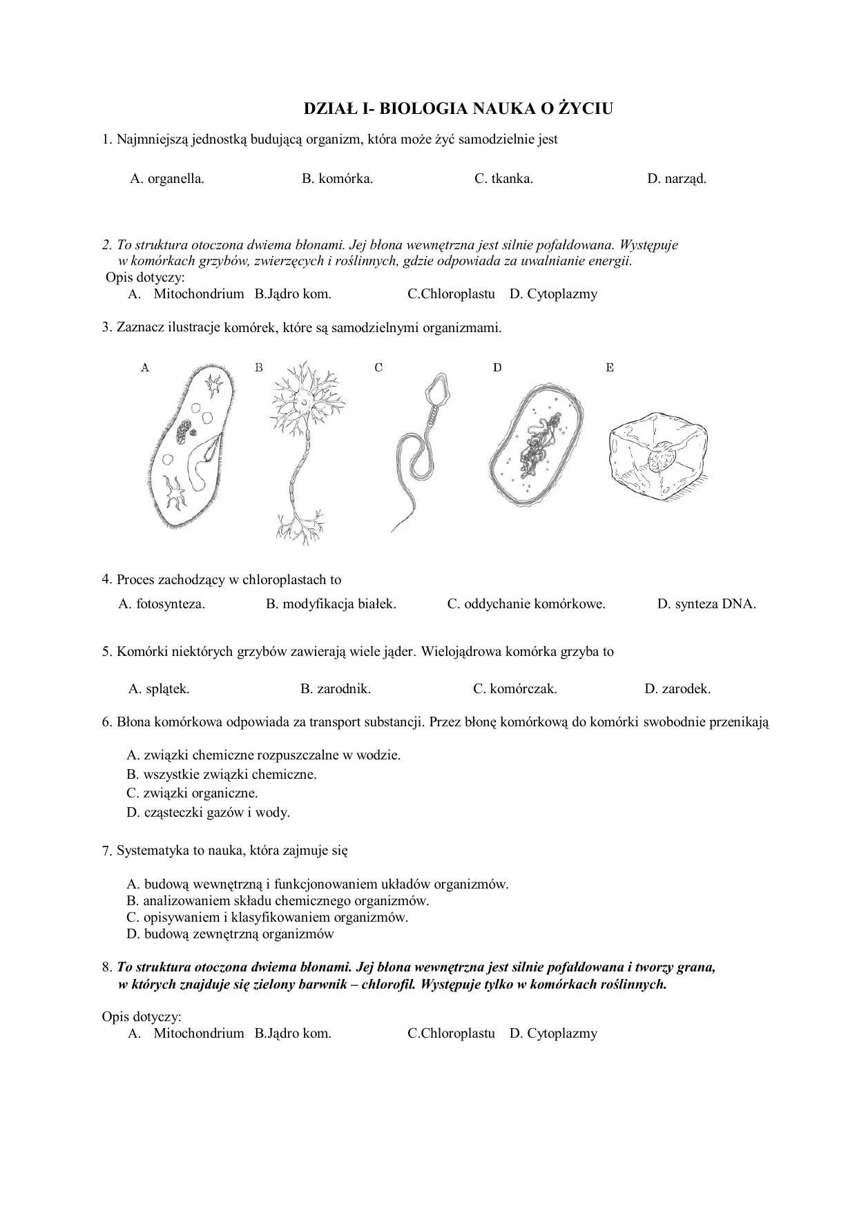 Zdjęcie Jak szybko nauczyć się na sprawdzian z biologii: 7 skutecznych metod