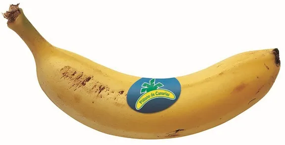 Pl&aacute;tano de Canarias