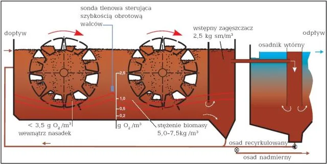 osad czynny a złoże biologiczne porównanie