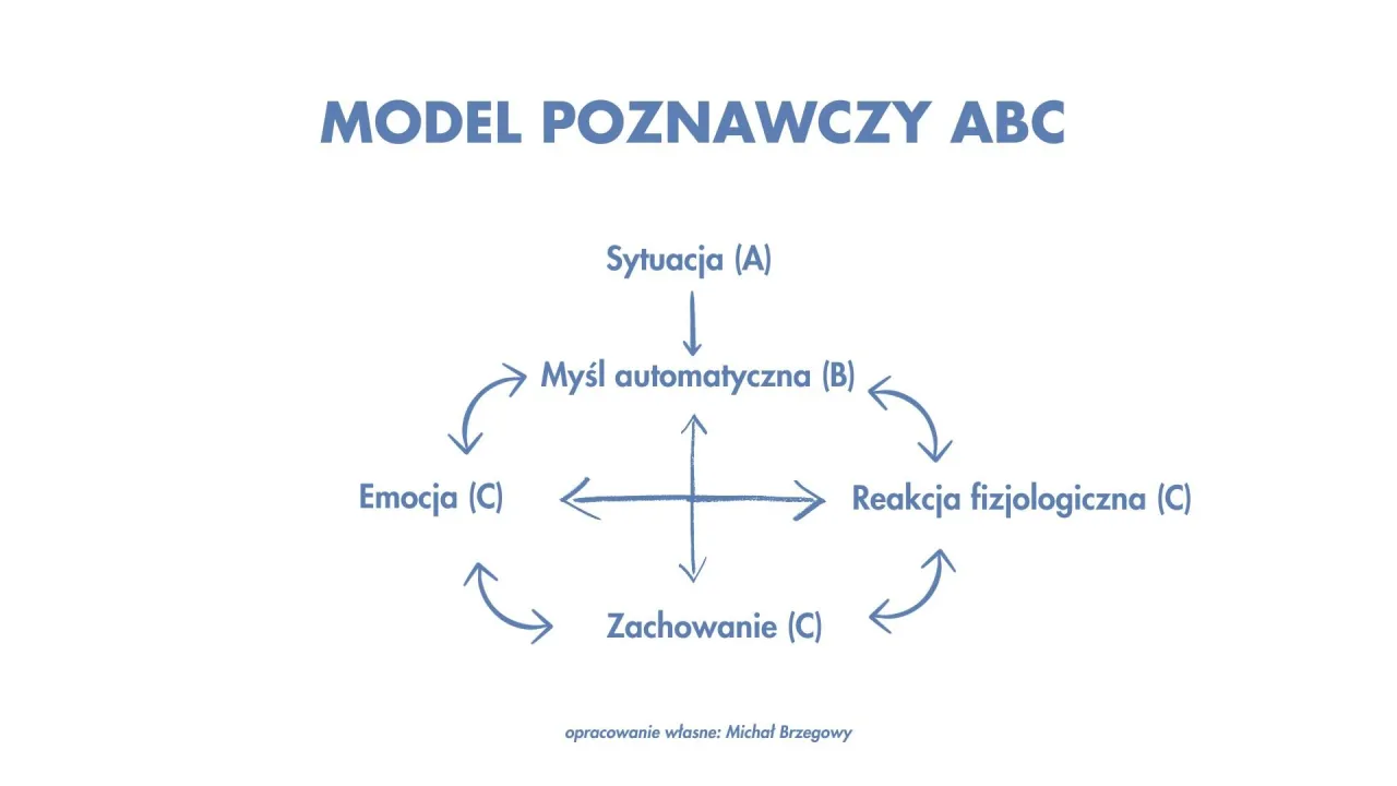 terapia poznawczo-behawioralna schemat