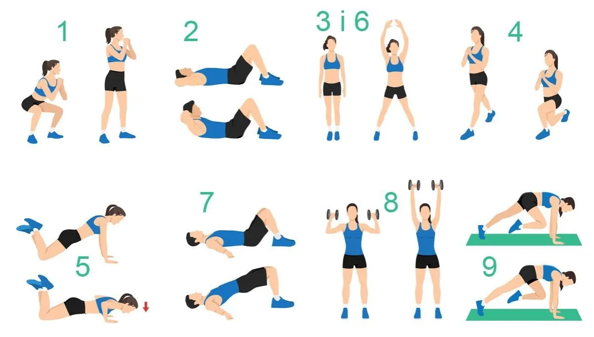 przykładowe ćwiczenia FBW na siłowni