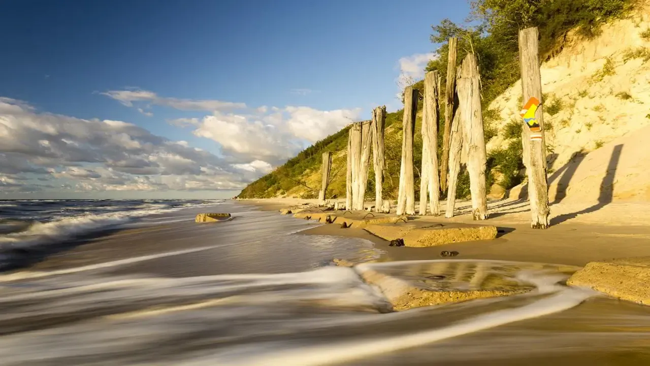 Woliński Park Narodowy krajobrazy żubry klify