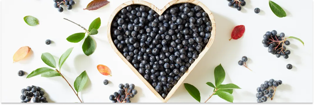 aronia właściwości zdrowotne infografika