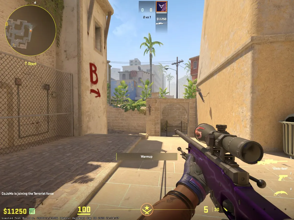 CS2 AWP viewmodel settings
