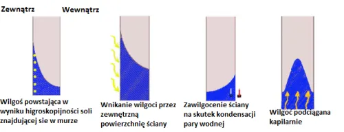 rodzaje zawilgoceń ścian, wilgoć kapilarna, kondensacyjna, przecieki