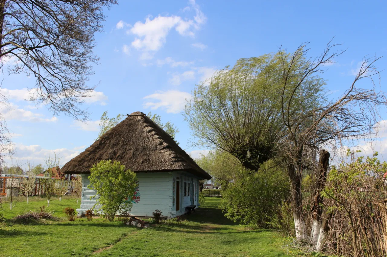Sielska wieś Przyczyna G&oacute;rna krajobraz