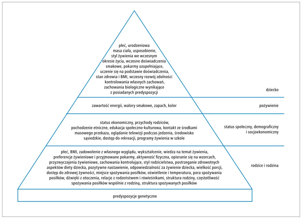 Czynniki środowiskowe w ciąży, zdrowie matki, wpływ środowiska na rozw&oacute;j dziecka