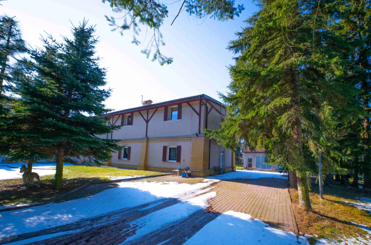 Dom opieki Radość Zgierz Konstantynów Łódzki