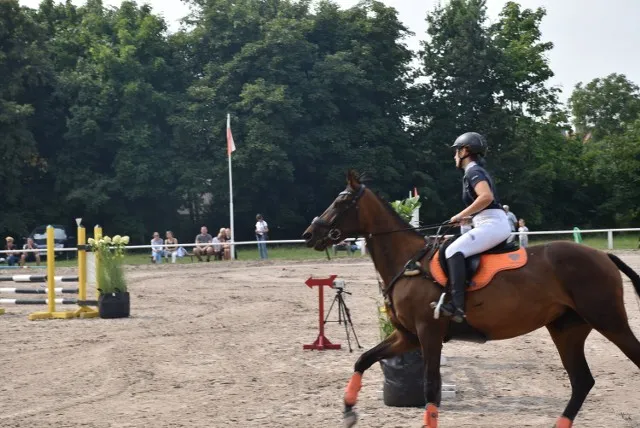 Stadnina koni Gniezno Kłeckoska