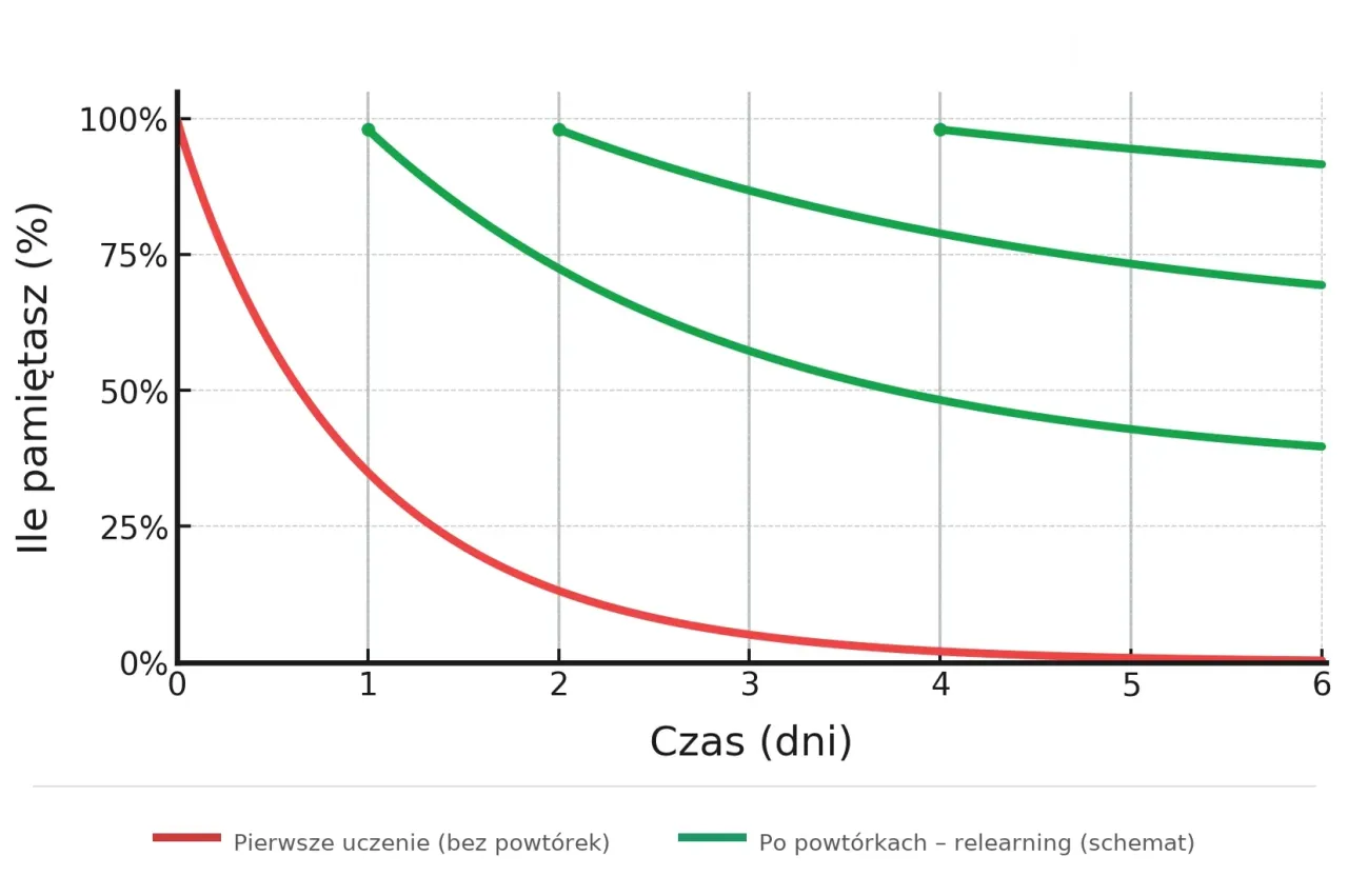 Krzywa zapominania Ebbinghausa grafika