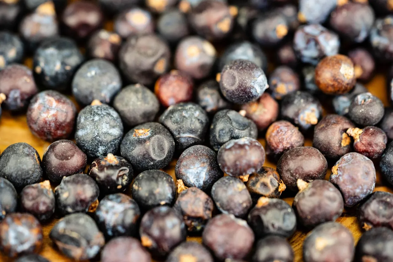 Gromadzone owoce jałowca, ciemne i okrągłe, gotowe do przyprawienia potraw.