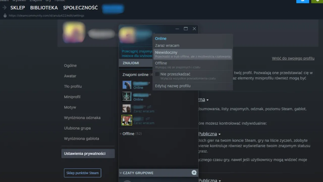 Steam jak ukryć grę oznacz jako prywatne