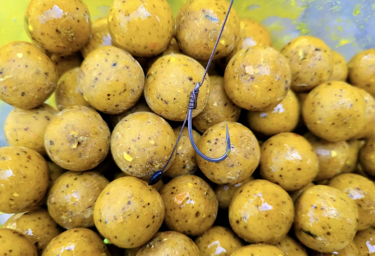 Kulki proteinowe na haku, gotowe do łowienia. To klucz do sukcesu, jak łowić na kulki proteinowe.