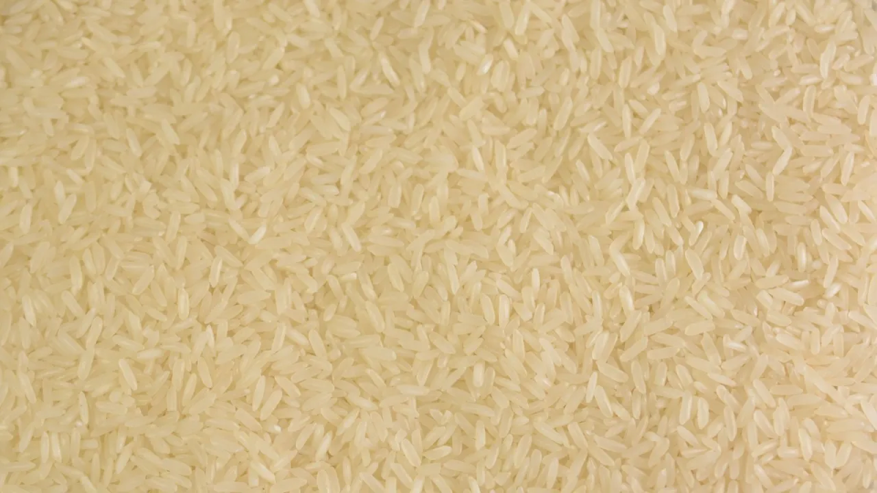 ryż basmati ziarna zbliżenie