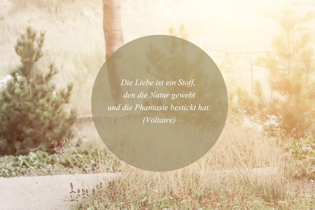 Romantische Hochzeitszitate