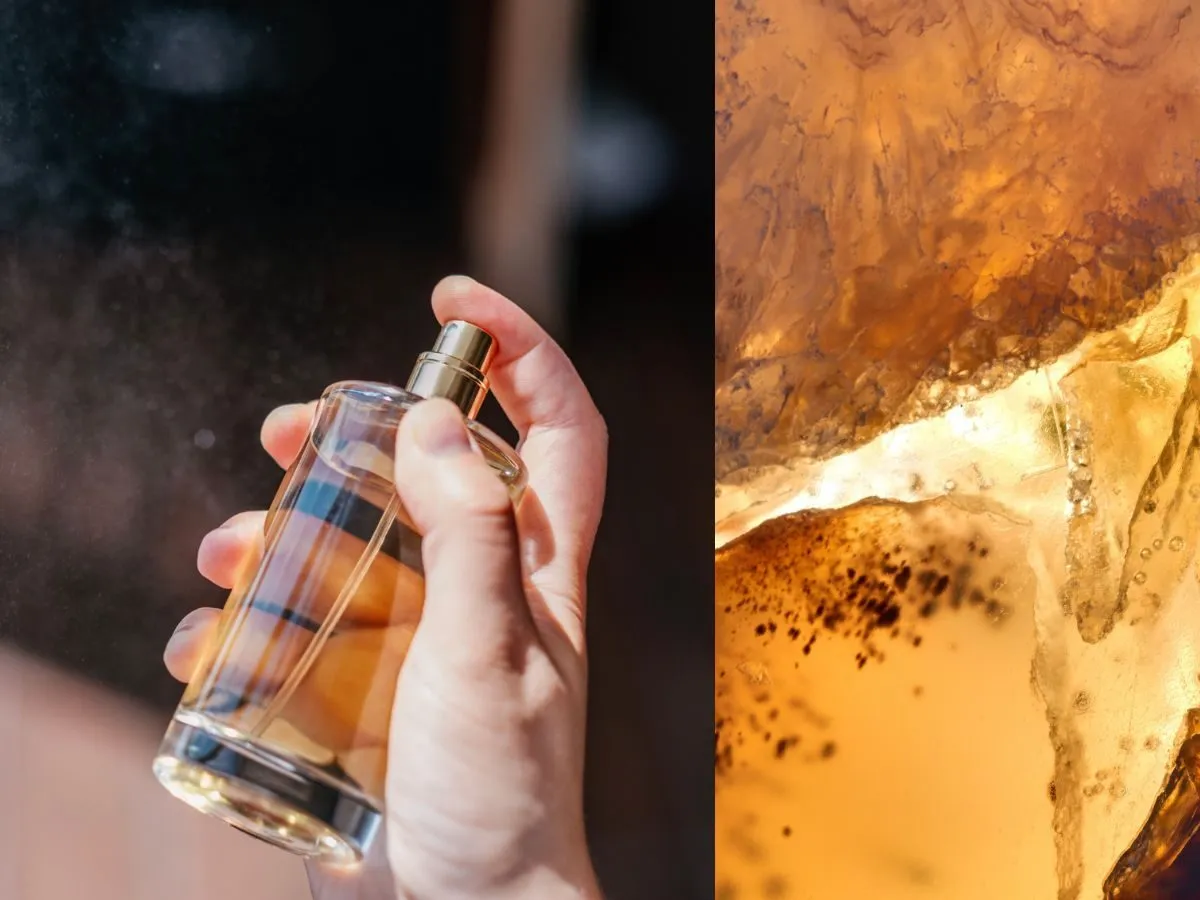 Kolaż z 5 najpopularniejszych perfum Avon: Little Black Dress, Incandessence, TTA Today, Far Away, Attraction