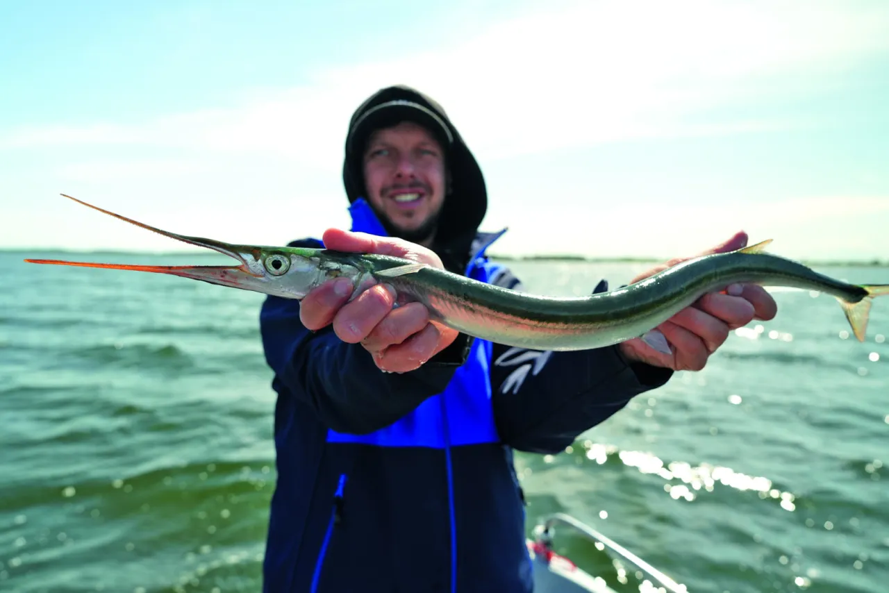 belona wędkarstwo maj bałtyk