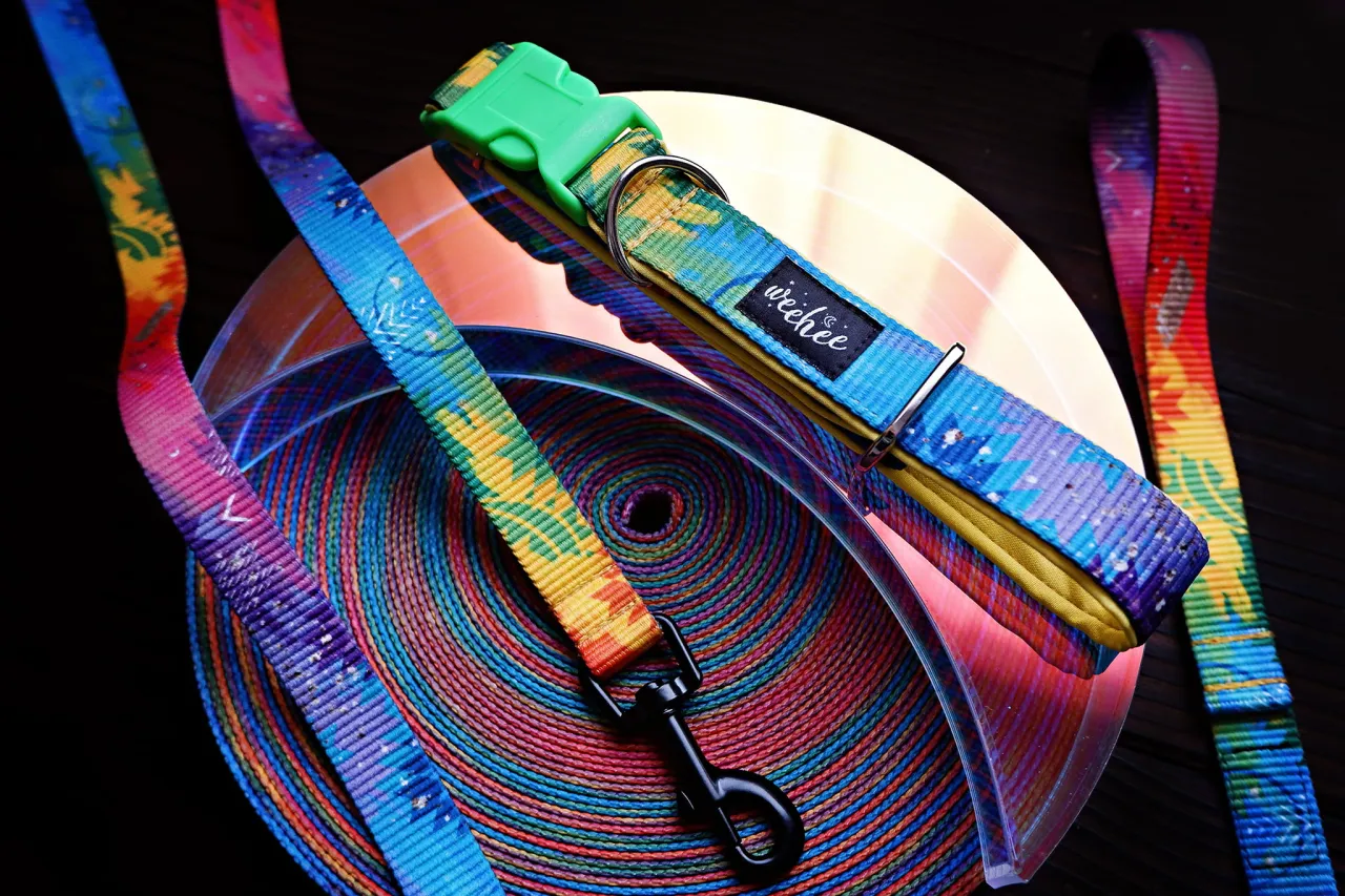 różne typy obroży dla psa ciągnącego
