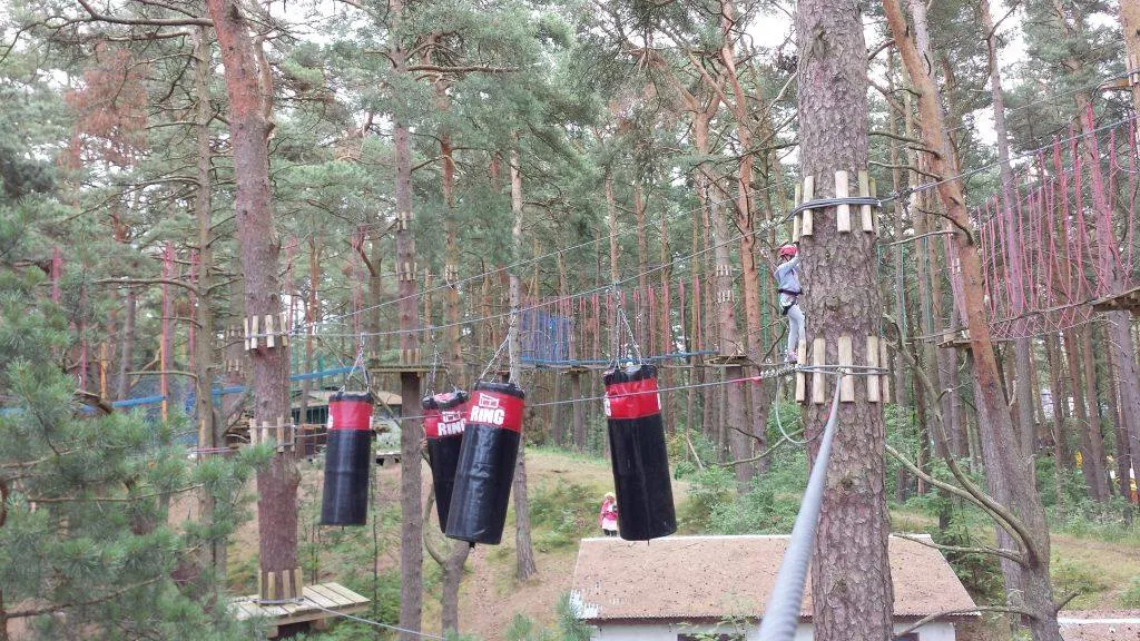 Zdjęcie Park Linowy Revolta - emocjonujące trasy i bezpieczeństwo na wybrzeżu