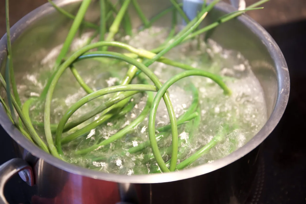 Pesto z pęd&oacute;w czosnku