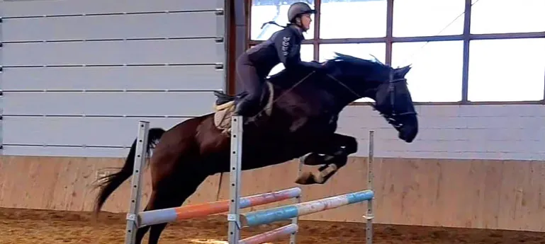 jazda konna trening skoki Moszna