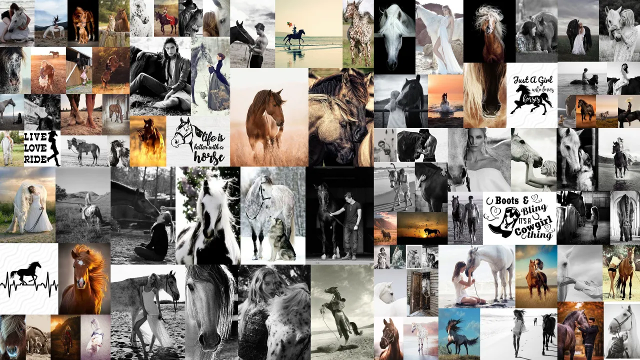 Kolaż zdjęć kurtek jeździeckich dla dzieci różnych marek i w różnych cenach