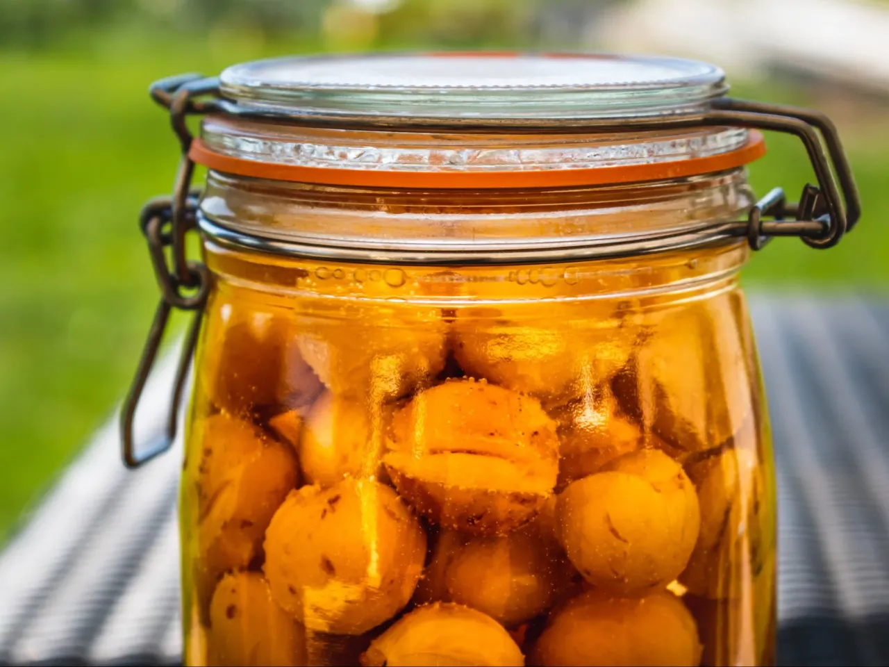 nietypowe składniki na nalewki