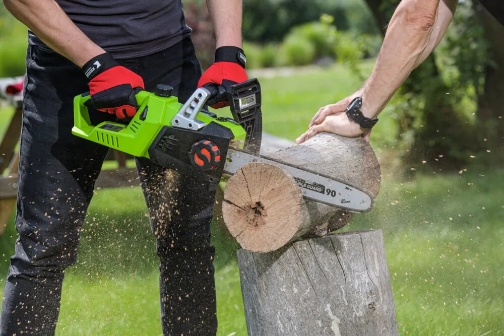 Zdjęcie Wycinka drzew na działce: terminy, zasady i kary - dowiedz się!