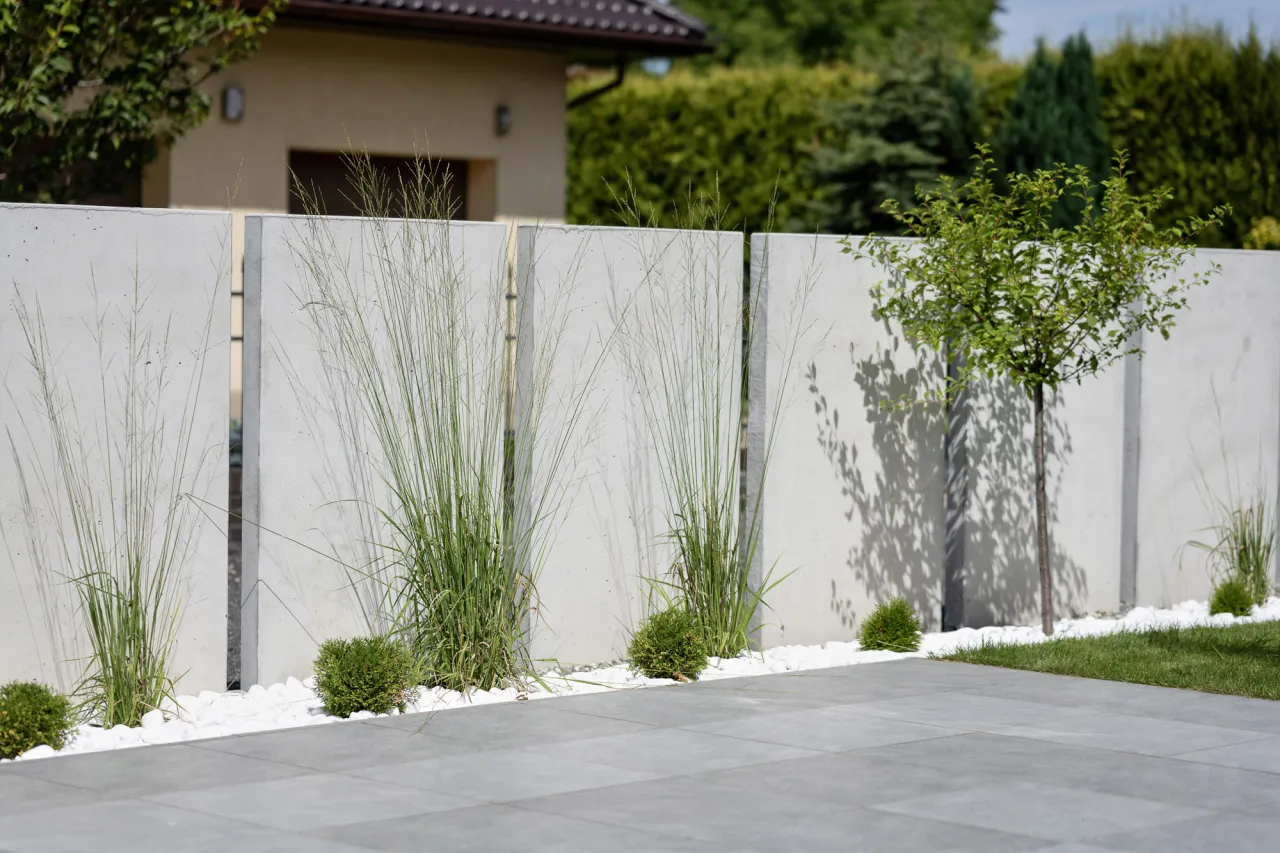 Kara za nielegalne sadzenie drzew