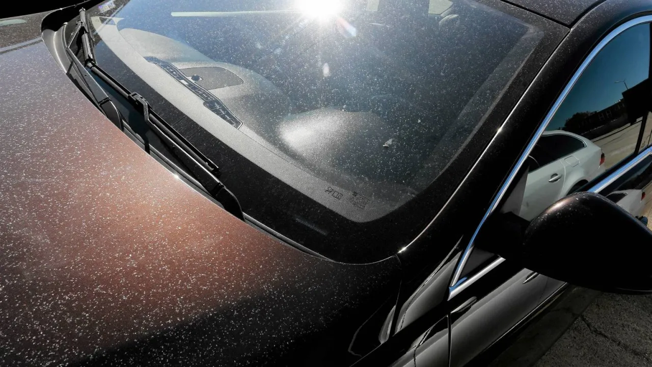 Samoch&oacute;d z plamami żywicy na lakierze