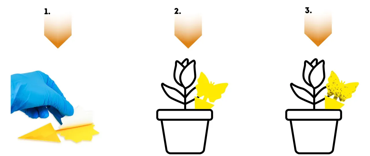 ż&oacute;łte lepy na ziemi&oacute;rki w doniczce