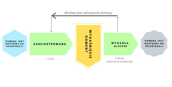 proces rezerwacji domeny .pl schemat